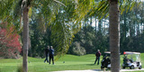 Plantation Bay Golf & Country Club